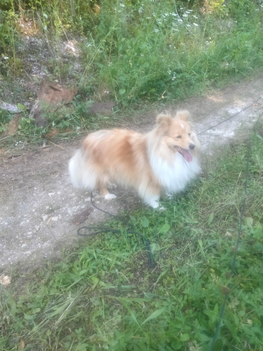 Uno De L'odyssée Des Deux Forbans